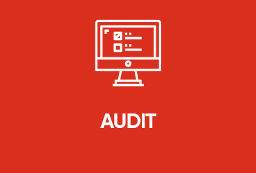 Audit