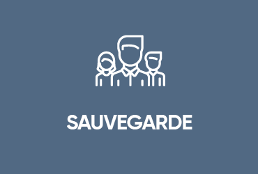 Sauvegarde